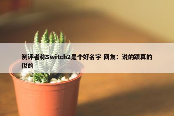 测评者称Switch2是个好名字 网友：说的跟真的似的