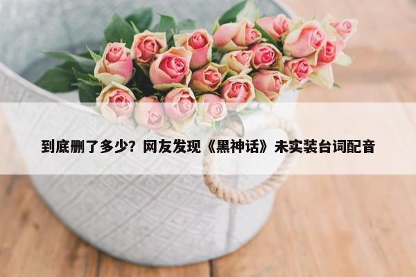 到底删了多少？网友发现《黑神话》未实装台词配音