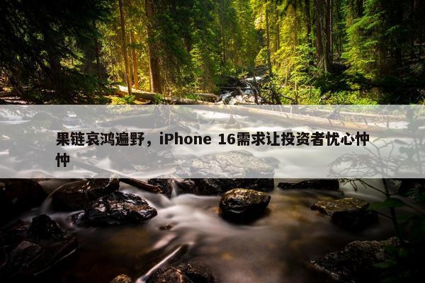 果链哀鸿遍野，iPhone 16需求让投资者忧心忡忡