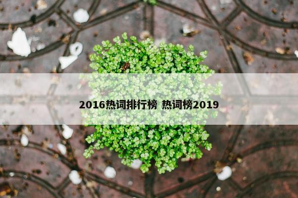 2016热词排行榜 热词榜2019