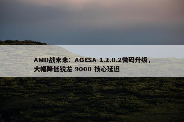 AMD战未来：AGESA 1.2.0.2微码升级，大幅降低锐龙 9000 核心延迟