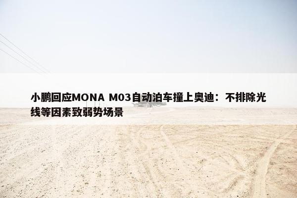 小鹏回应MONA M03自动泊车撞上奥迪：不排除光线等因素致弱势场景