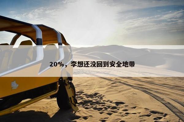 20%，李想还没回到安全地带