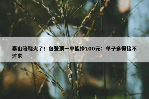 泰山陪爬火了！包登顶一单能挣100元：单子多得接不过来