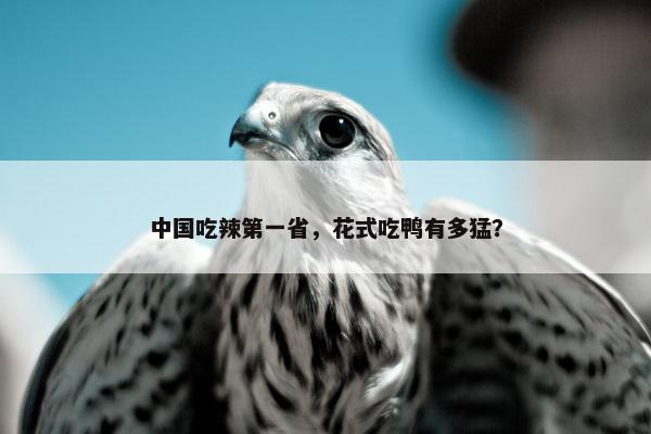 中国吃辣第一省，花式吃鸭有多猛？