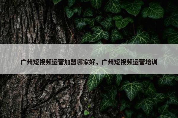 广州短视频运营加盟哪家好，广州短视频运营培训