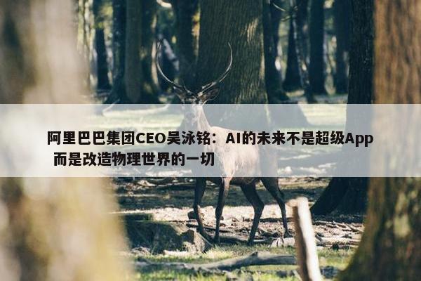 阿里巴巴集团CEO吴泳铭：AI的未来不是超级App 而是改造物理世界的一切