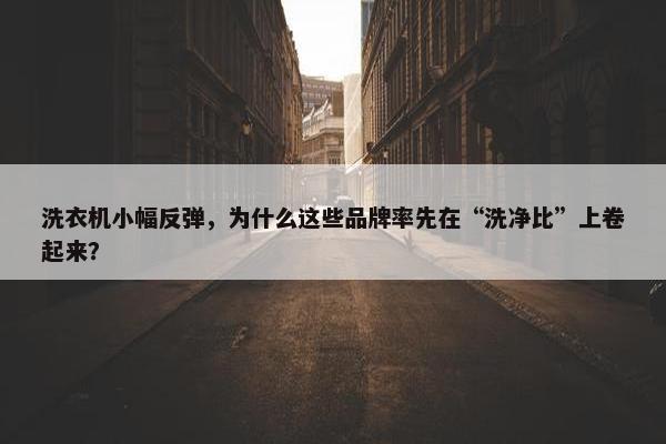 洗衣机小幅反弹，为什么这些品牌率先在“洗净比”上卷起来？