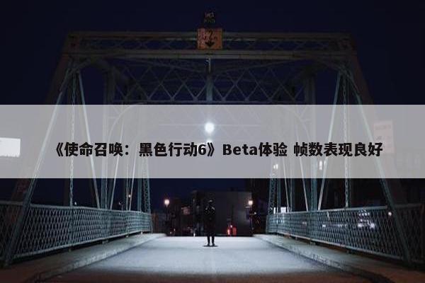 《使命召唤：黑色行动6》Beta体验 帧数表现良好