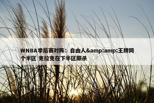 WNBA季后赛对阵：自由人&amp;王牌同个半区 克拉克在下半区厮杀