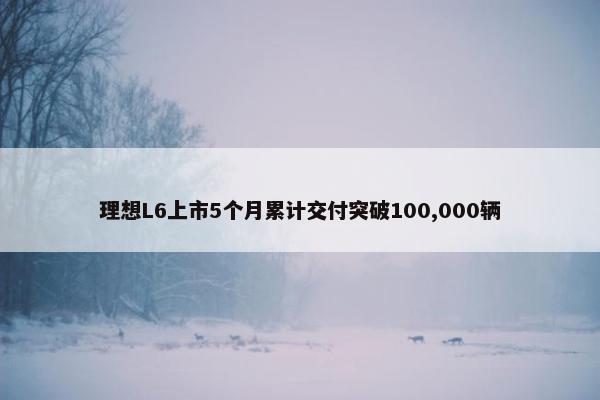 理想L6上市5个月累计交付突破100,000辆