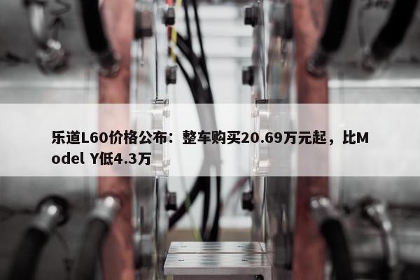 乐道L60价格公布：整车购买20.69万元起，比Model Y低4.3万