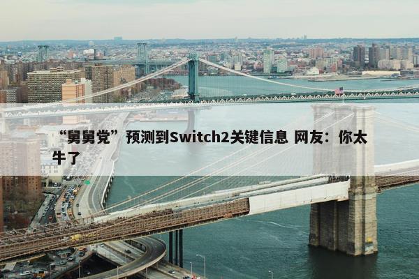 “舅舅党”预测到Switch2关键信息 网友：你太牛了