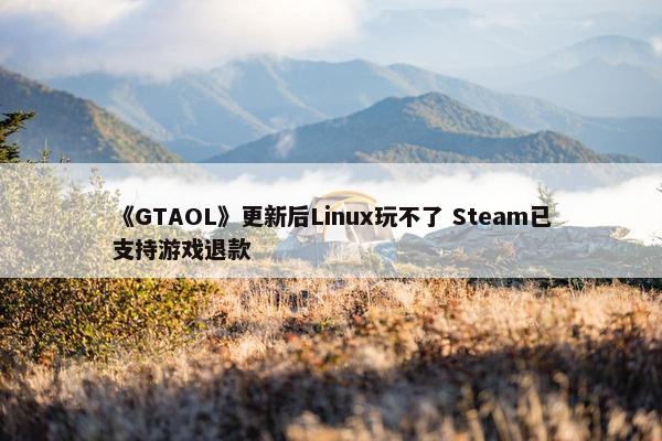 《GTAOL》更新后Linux玩不了 Steam已支持游戏退款