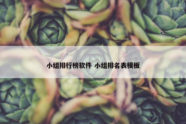 小组排行榜软件 小组排名表模板