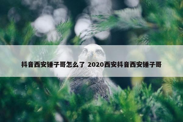 抖音西安锤子哥怎么了 2020西安抖音西安锤子哥