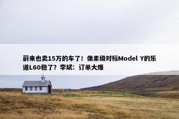 蔚来也卖15万的车了！像素级对标Model Y的乐道L60稳了？李斌：订单大爆