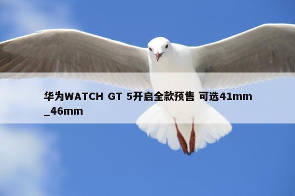 华为WATCH GT 5开启全款预售 可选41mm_46mm