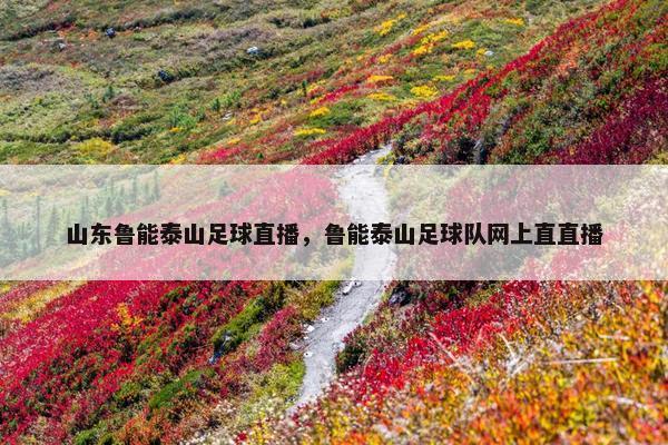 山东鲁能泰山足球直播，鲁能泰山足球队网上直直播