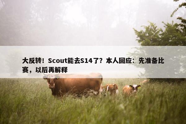 大反转！Scout能去S14了？本人回应：先准备比赛，以后再解释