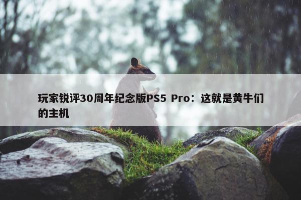 玩家锐评30周年纪念版PS5 Pro：这就是黄牛们的主机