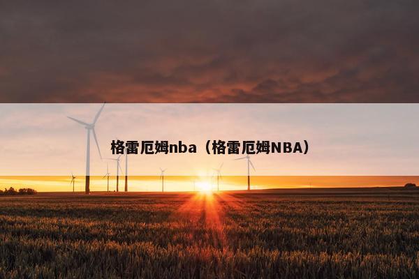 格雷厄姆nba（格雷厄姆NBA）