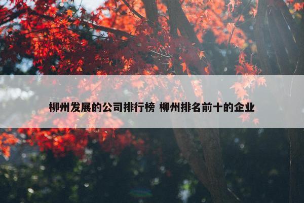 柳州发展的公司排行榜 柳州排名前十的企业