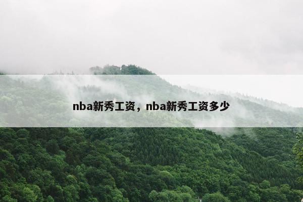 nba新秀工资，nba新秀工资多少