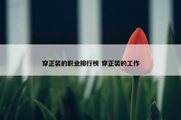 穿正装的职业排行榜 穿正装的工作