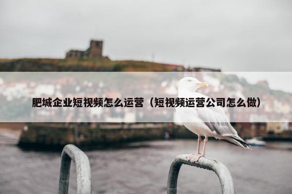 肥城企业短视频怎么运营（短视频运营公司怎么做）