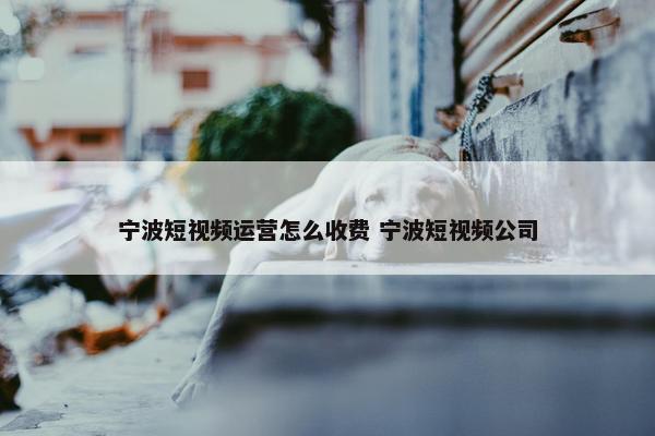 宁波短视频运营怎么收费 宁波短视频公司