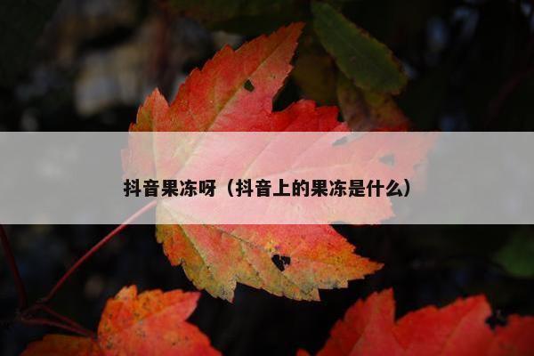 抖音果冻呀（抖音上的果冻是什么）