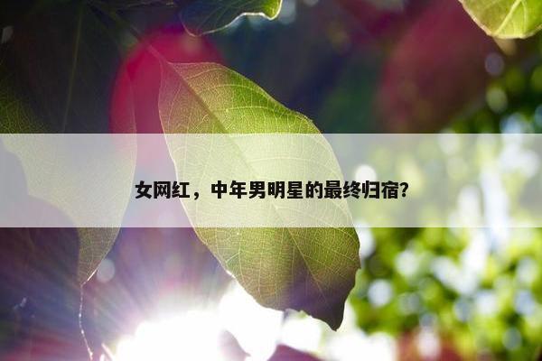 女网红，中年男明星的最终归宿？