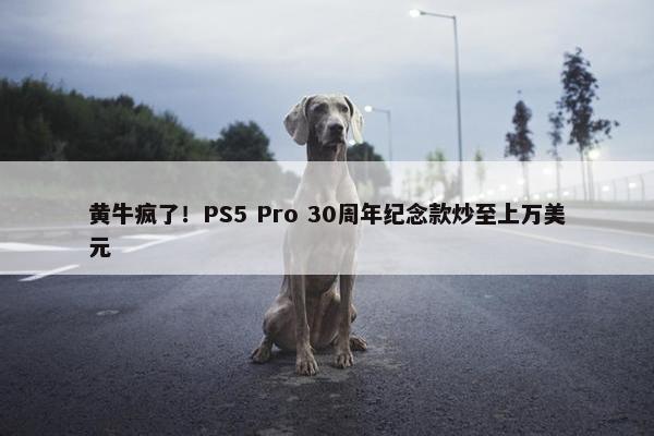 黄牛疯了！PS5 Pro 30周年纪念款炒至上万美元