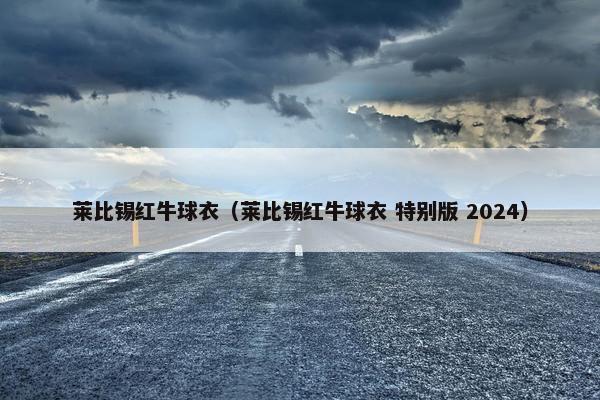 莱比锡红牛球衣（莱比锡红牛球衣 特别版 2024）