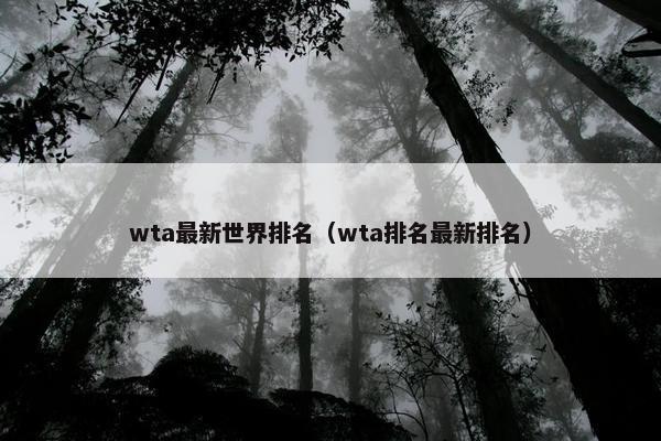 wta最新世界排名（wta排名最新排名）