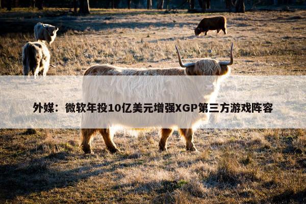 外媒：微软年投10亿美元增强XGP第三方游戏阵容