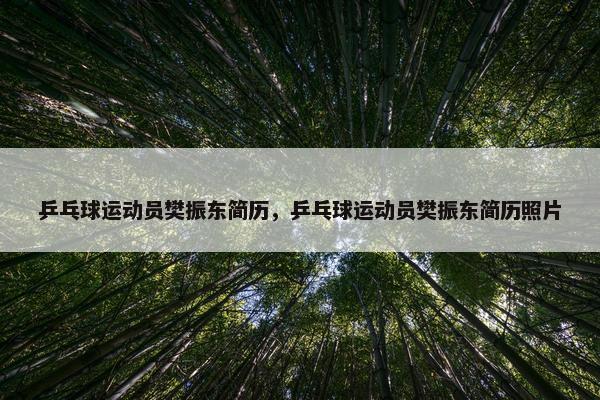 乒乓球运动员樊振东简历，乒乓球运动员樊振东简历照片