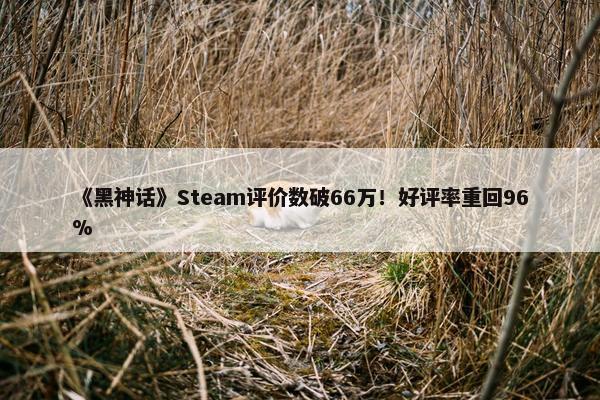 《黑神话》Steam评价数破66万！好评率重回96%