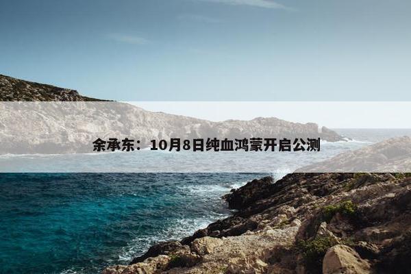 余承东：10月8日纯血鸿蒙开启公测