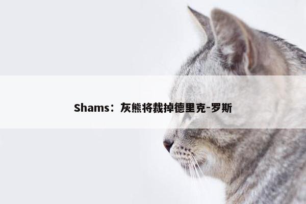 Shams：灰熊将裁掉德里克-罗斯