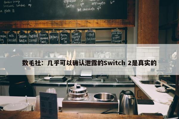 数毛社：几乎可以确认泄露的Switch 2是真实的