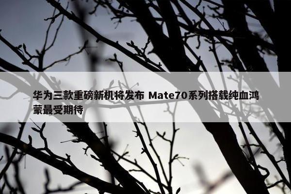 华为三款重磅新机将发布 Mate70系列搭载纯血鸿蒙最受期待