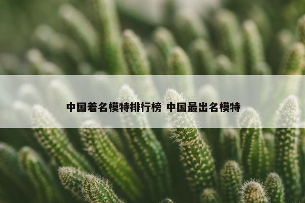 中国着名模特排行榜 中国最出名模特