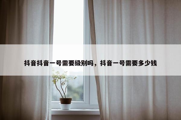 抖音抖音一号需要级别吗，抖音一号需要多少钱