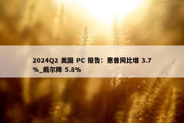 2024Q2 美国 PC 报告：惠普同比增 3.7%_戴尔降 5.8%