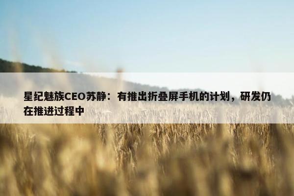 星纪魅族CEO苏静：有推出折叠屏手机的计划，研发仍在推进过程中