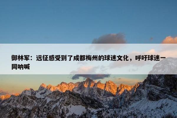 御林军：远征感受到了成都梅州的球迷文化，呼吁球迷一同呐喊