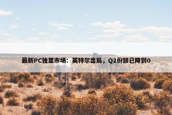 最新PC独显市场：英特尔出局，Q2份额已降到0