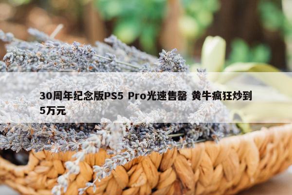 30周年纪念版PS5 Pro光速售罄 黄牛疯狂炒到5万元